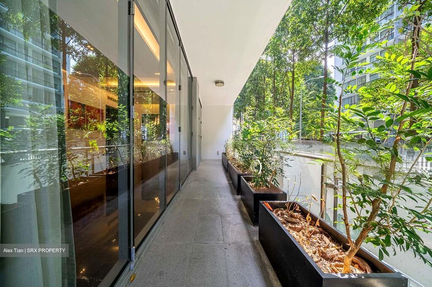 Helios Residences (D9), Apartment #639929061